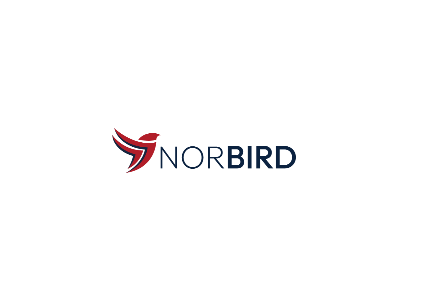 Norbird Kurumsal Logo ve Kurumsal Kimlik çalışması